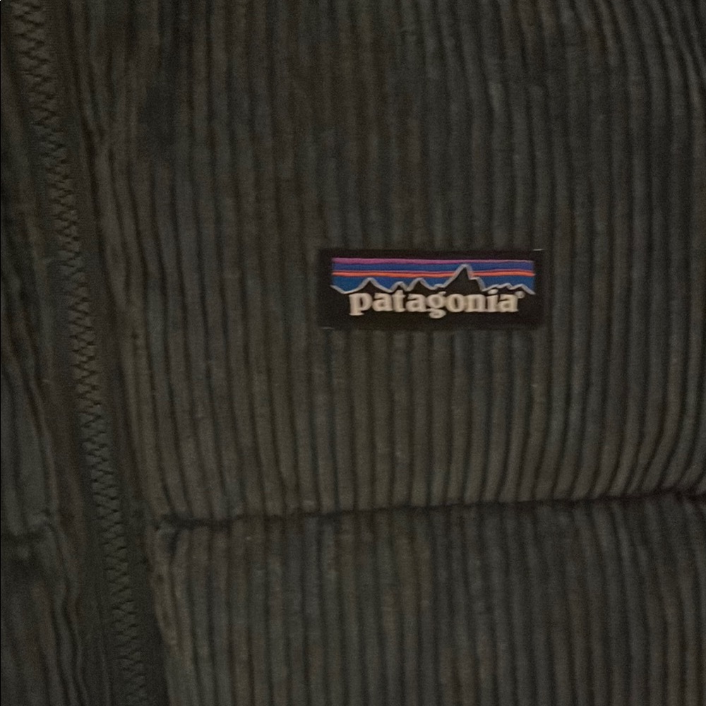 NWT Patagonia Green Cord Fjord Corduroy Jacket - Picture 4 of 6